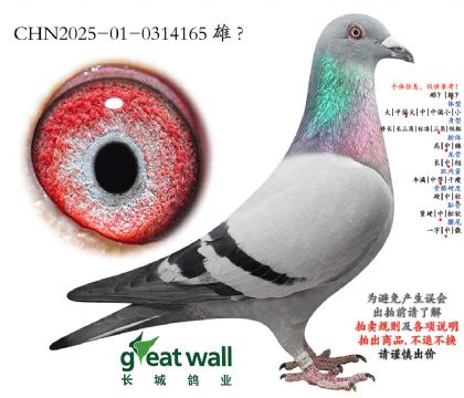 11.��ѩ���ض�x�¿�����.0314165