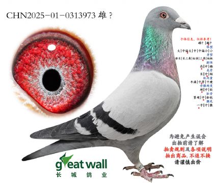 12.ͼ��˹��Ѫ.0313973