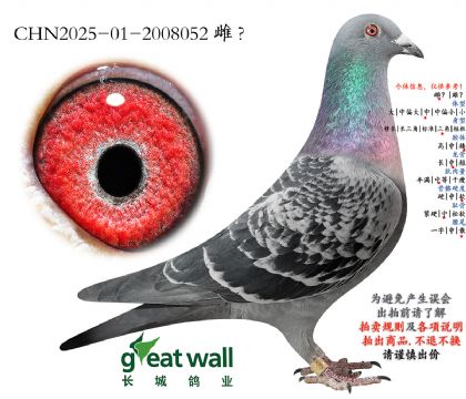 15.�������۹ھ�x��������.2008052