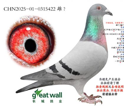 14.ͼ��˹003���.0315422