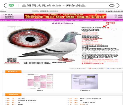 �ŶΣ����ö���ܣ�