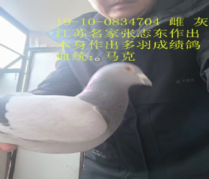 ����������־���������˽���