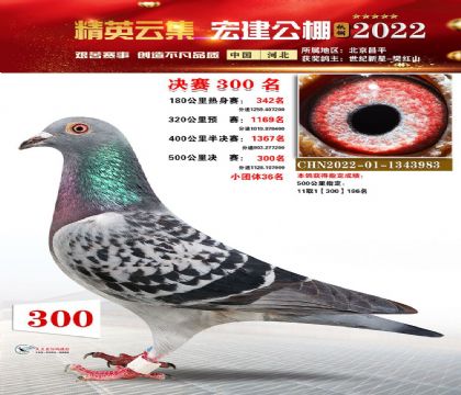 �ӱ��꽨���빫��500�������300��   ��	