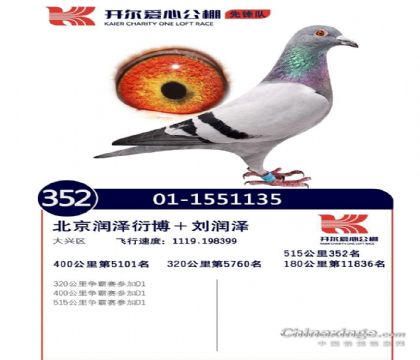 �������Ĺ���ȷ�ӣ�515�������352��   ��	