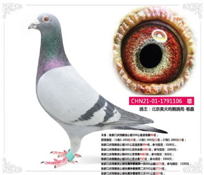 �żҿ��������빫����ӥ������������501����183��