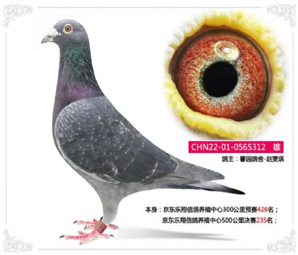 ���������Ÿ���ֳ����500�������235��   ��	