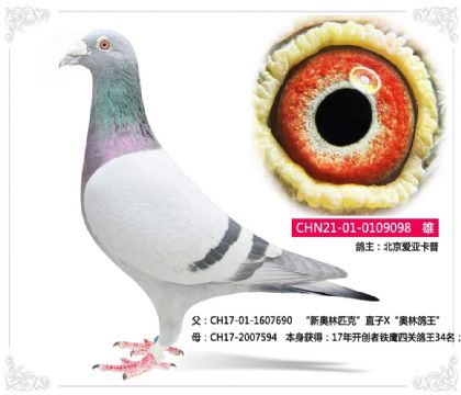 �������ǿ���---��������ӥ�Ĺظ���34��ֱ��098��