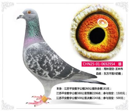 ����ƽ�����ֹ���260����������181��   ��	