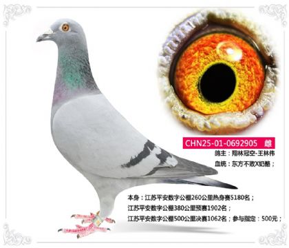 ����ƽ�����ֹ���500�������1062��   ��	