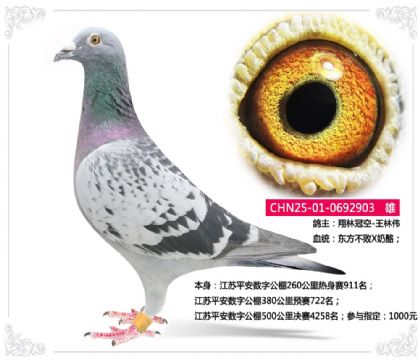 ����ƽ�����ֹ���380����Ԥ��722��  ��	