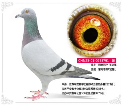 ����ƽ�����ֹ���500�������3779��   ��