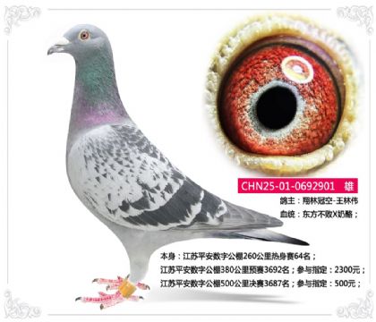 ����ƽ�����ֹ���260����������64��   ��