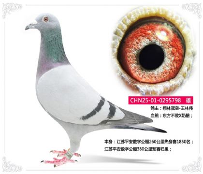 ����ƽ�����ֹ���260����������1850��   ��	