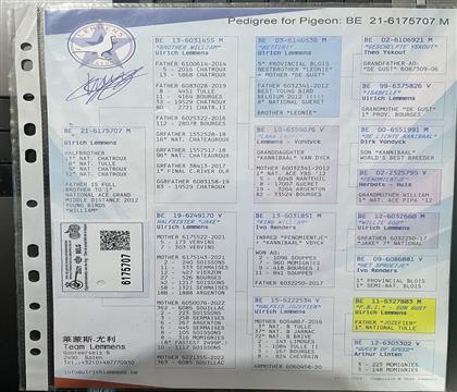 ԭ��Ѫͳ����뷢��