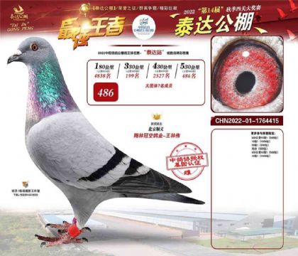 �ӱ�̩�����빫��530�������486��   ��	