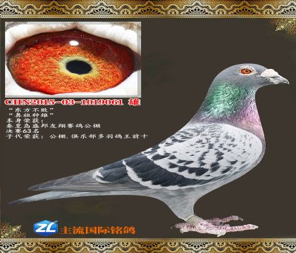 �������ܱ�������.��������63��