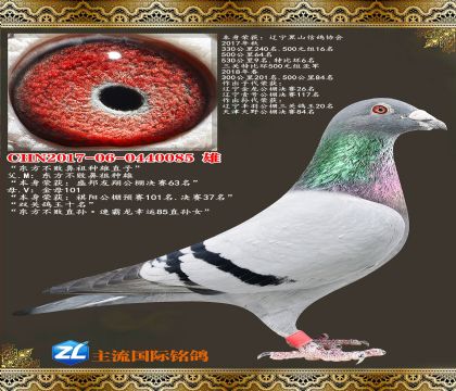 �������ܱ�������ֱ��.���������رȻ������Ǿ�