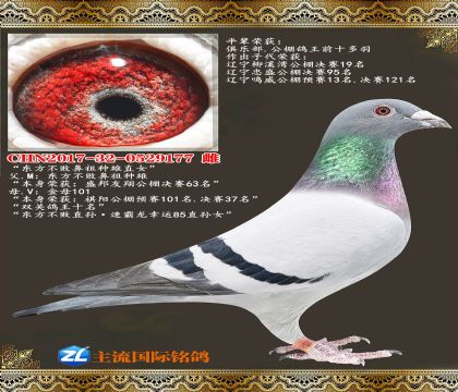 �������ܱ�������ֱŮ