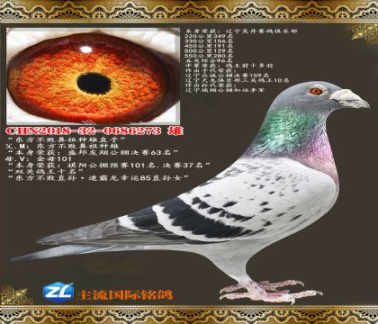 �������ܱ�������ֱ��