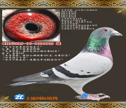 �������ܱ�������ֱ��.�������ظ���5��