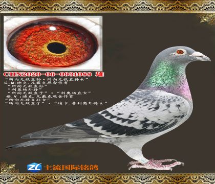 �����޵�ֱ������޵�ֱ��Ů