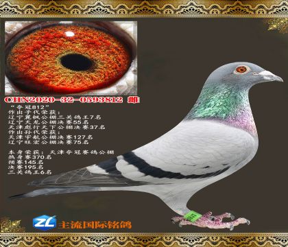 ��ڹ������ظ���6��