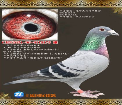 �������ܱ���ֱ��  ����530����5��