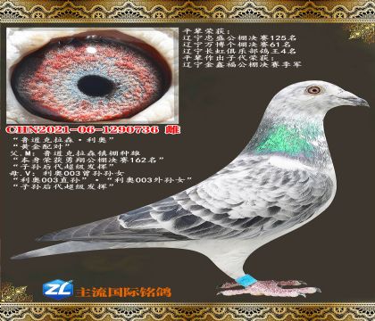 ³������ɭ������