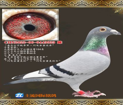 ɣ��ʿ�������ɣ��ʿ�����ͯ