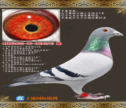 ���ܱ���ֱ�ӡ���ڸ���6