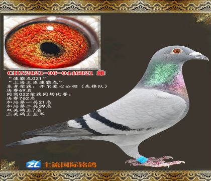 �ٰ���.��������69��