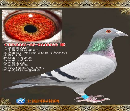 �ٰ���.�����������ظ����Ǿ�