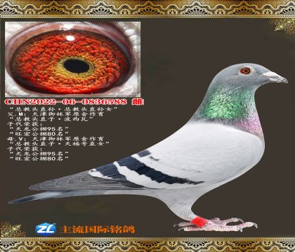 �ܽ�ͷֱ��ܽ�ͷֱ��Ů