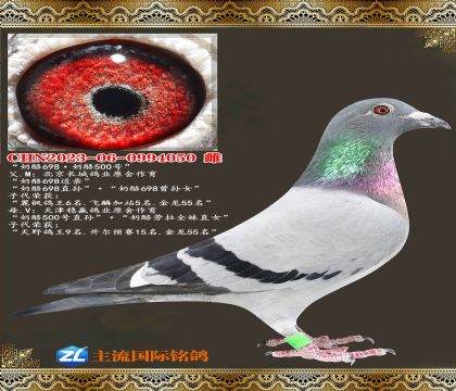 ����698������500