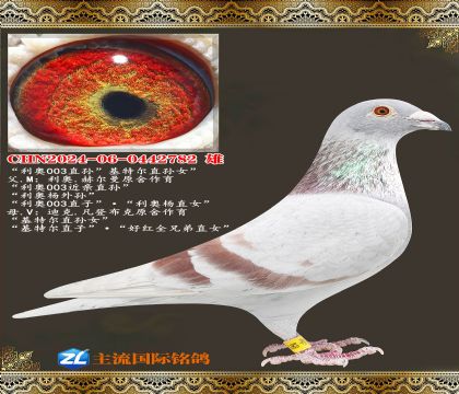 ����003ֱ����ض���Ů