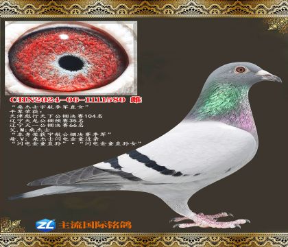 ɣ��ʿ������������ͯ