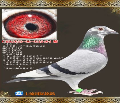 ɣ��ʿ�ƽ���Խ���