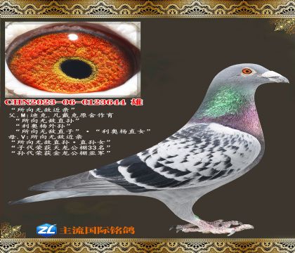 �����޵ж��ؽ���