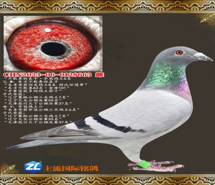 �������ܱ�������ֱ�ӡ���ڸ���6��