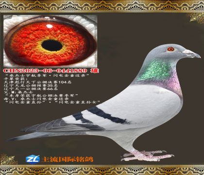 ɣ��ʿ������������ͯ