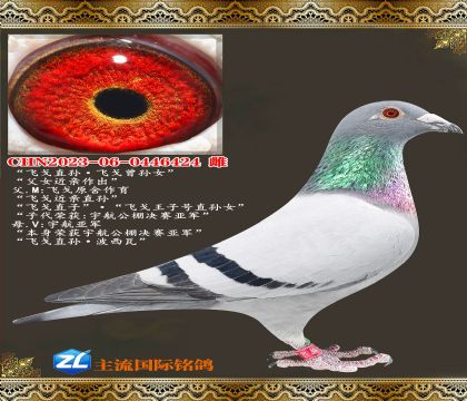 �ɸ�ֱ��ɸ�����Ů