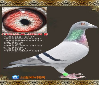 ����240ֱ�����240��Ů