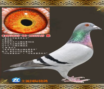 ɣ��ʿ�����ֱŮ