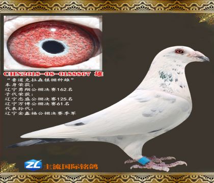 ³������ɭ.��������162��