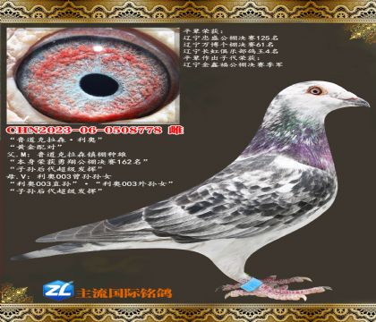 ³������ɭ������