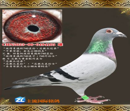 �˵�����˹740ֱ��ܽ�ͷ����