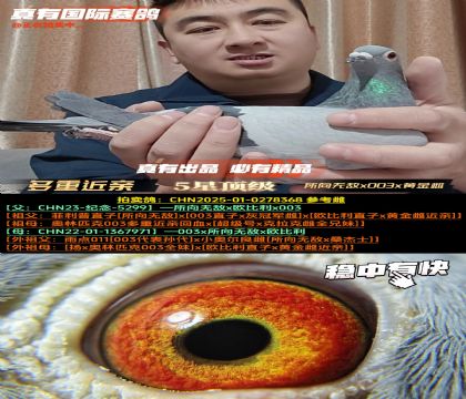 �����ؽ��ס������޵�x003x�ƽ��