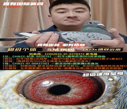 �������Ŵ���003x��˫����