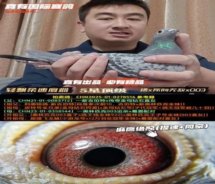 ����Ʈ���ٶȴơ���x�����޵�x003