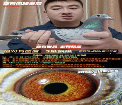 ���������ٶȡ����ƶ�x����x������˹